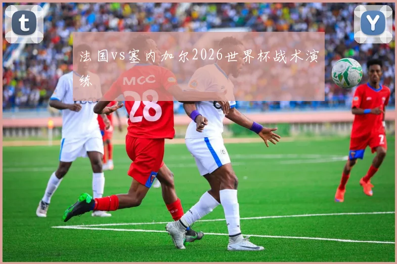 法国vs塞内加尔2026世界杯战术演练