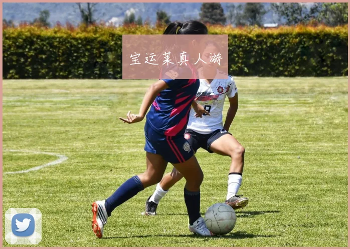 宝运莱真人游