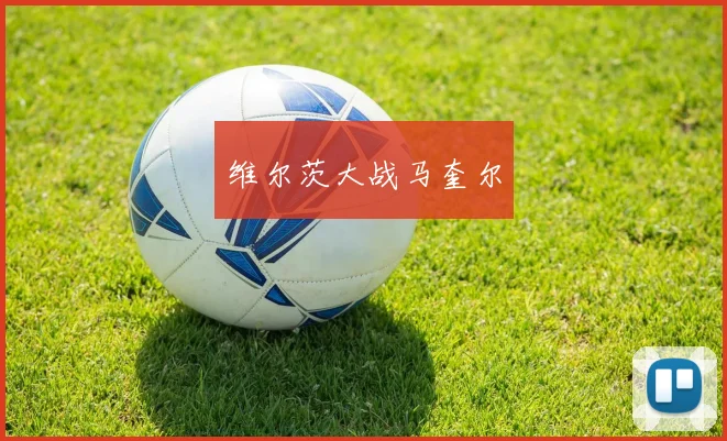 维尔茨大战马奎尔