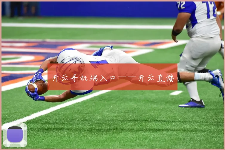 开云手机端入口——开云直播