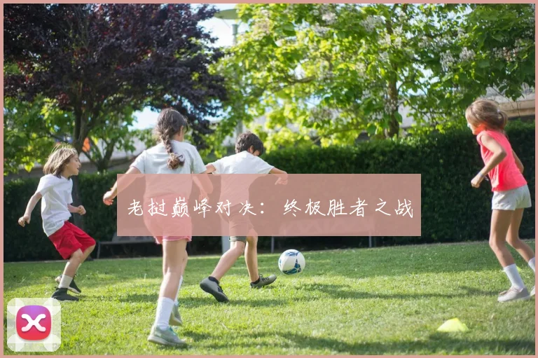 老挝巅峰对决：终极胜者之战