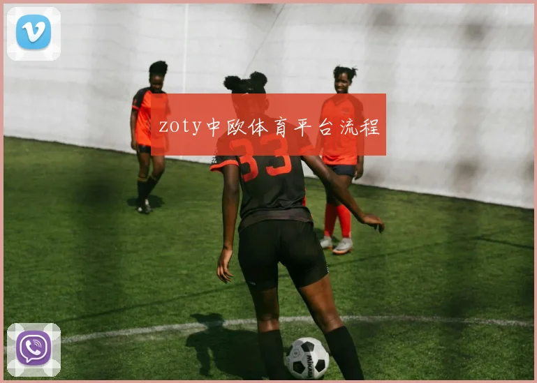 zoty中欧体育平台流程
