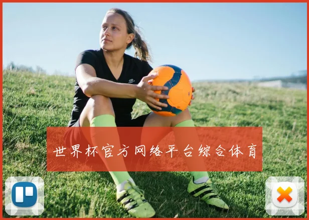 世界杯官方网络平台综合体育