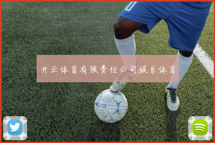 开云体育有限责任公司娱乐体育