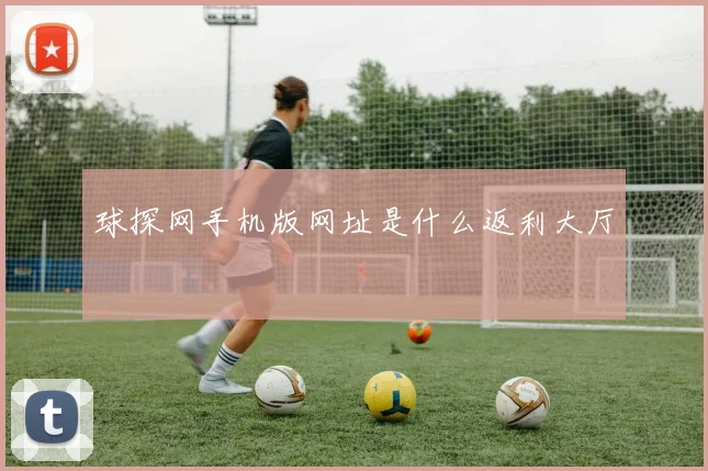 球探网手机版网址是什么返利大厅