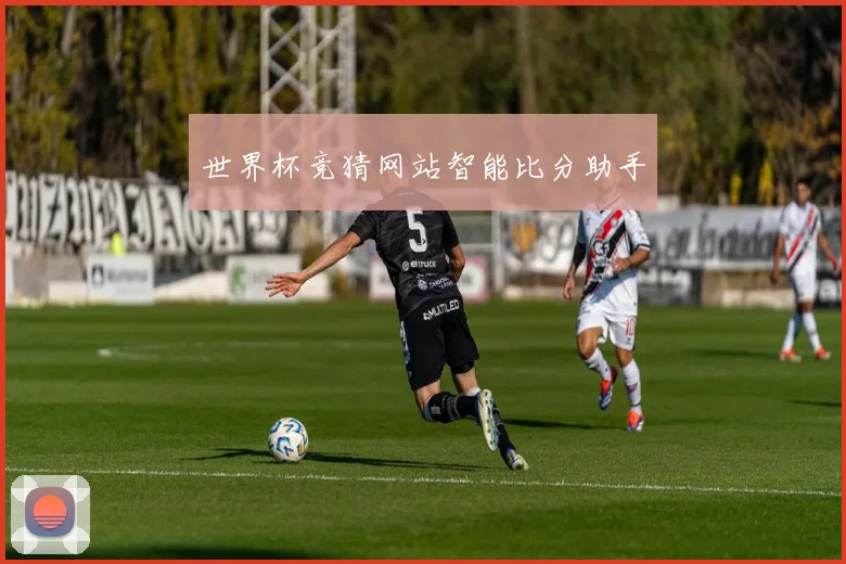 世界杯竞猜网站智能比分助手