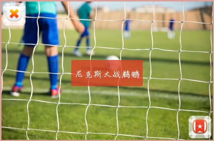 尼克斯大战鹈鹕