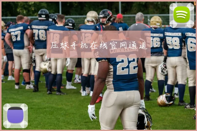 压球手机在线官网通道
