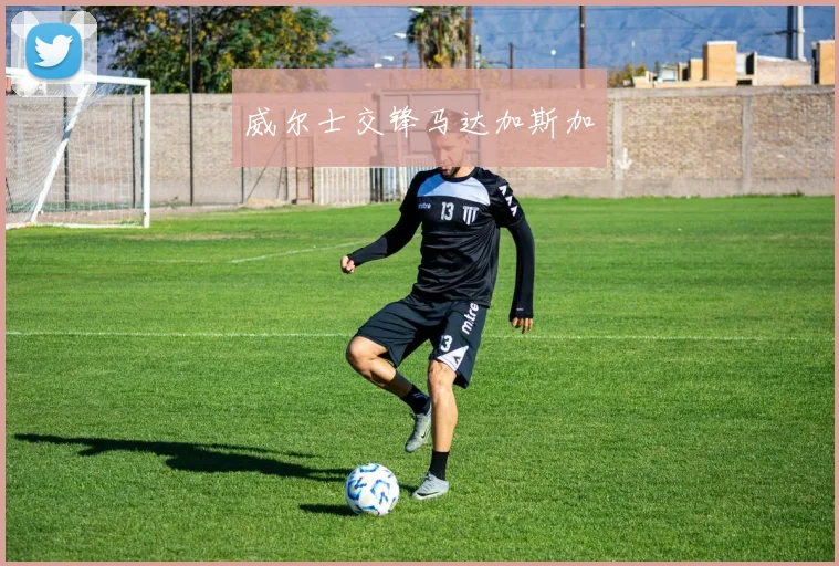 威尔士交锋马达加斯加