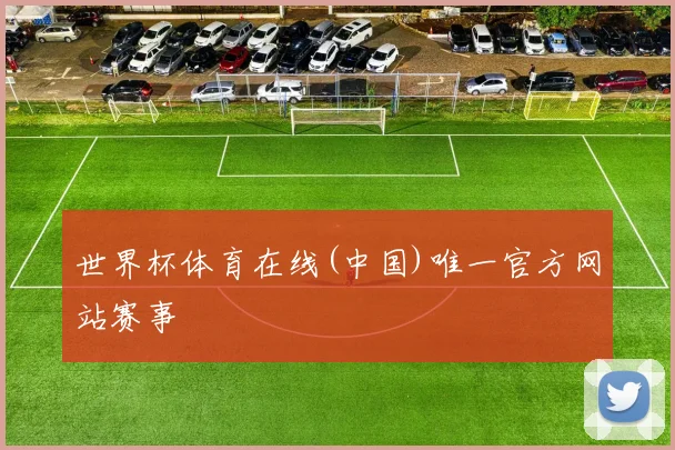 世界杯体育在线(中国)唯一官方网站赛事
