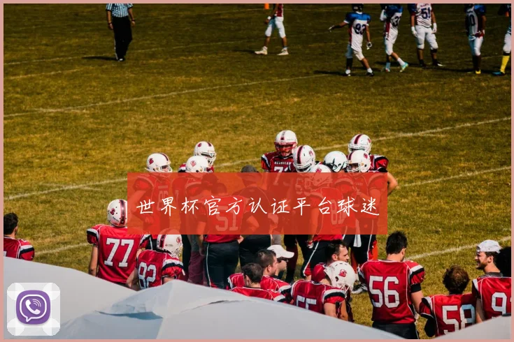 世界杯官方认证平台球迷