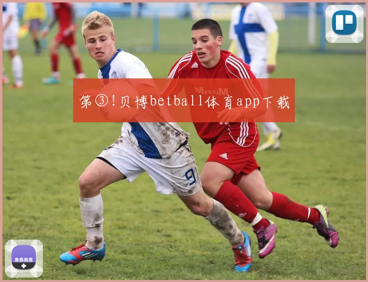 第③!贝博betball体育app下载
