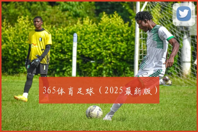 365体育足球（2025最新版）