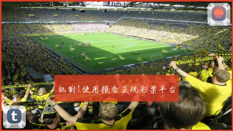 机制!使用报告正规彩票平台