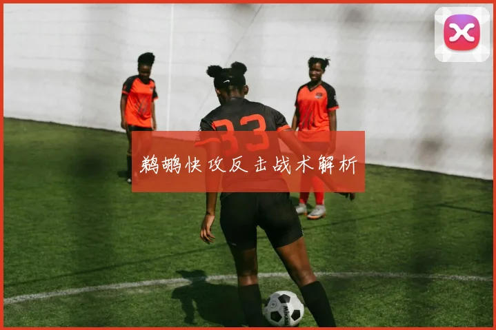鹈鹕快攻反击战术解析