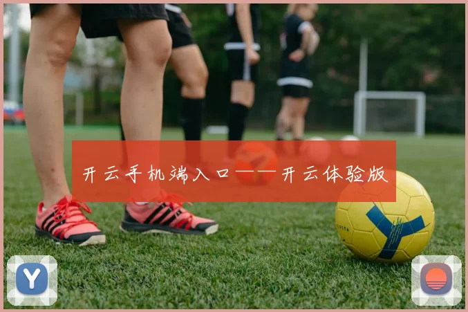 开云手机端入口——开云体验版