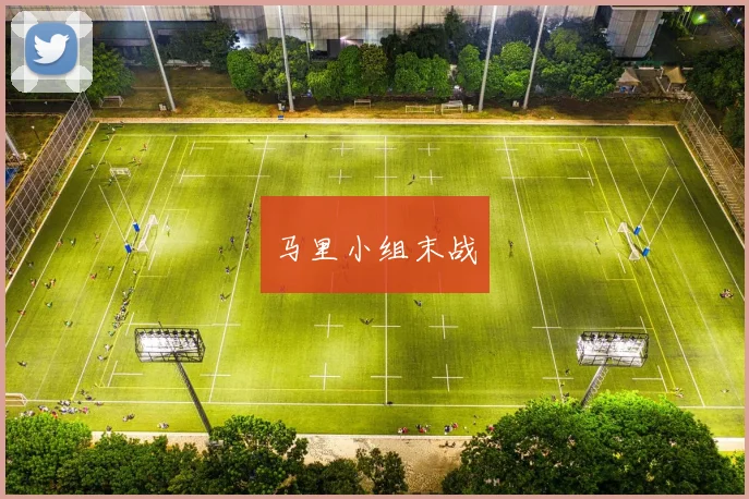 马里小组末战