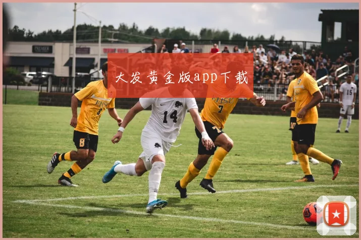 大发黄金版app下载
