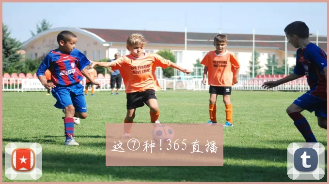 这⑦种!365直播