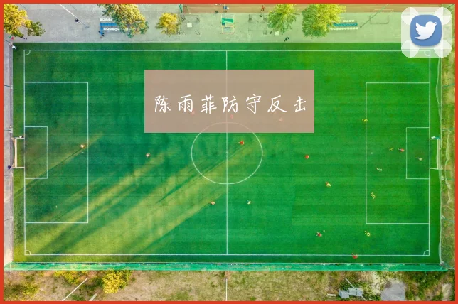 陈雨菲防守反击