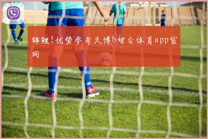 锦鲤!优势参考天博b综合体育app官网