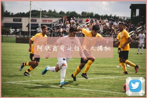 阿联酋奇迹惊天大揭秘