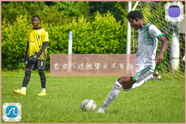 首尔FC连胜势头不可挡