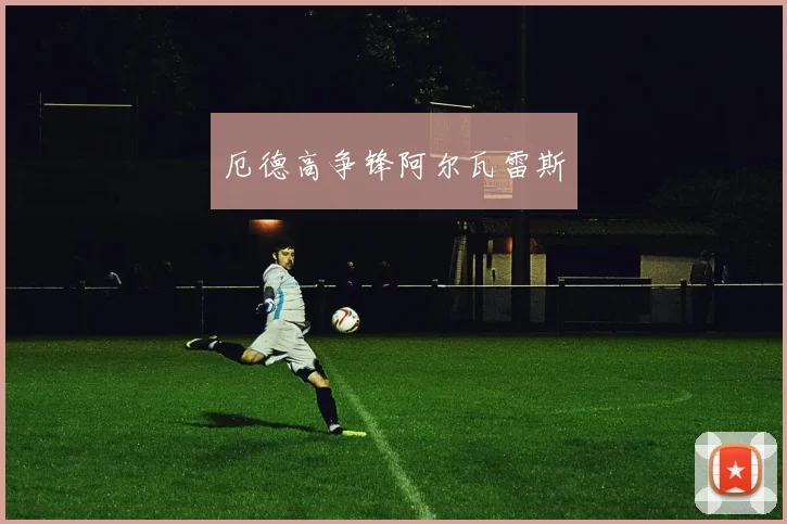 厄德高争锋阿尔瓦雷斯