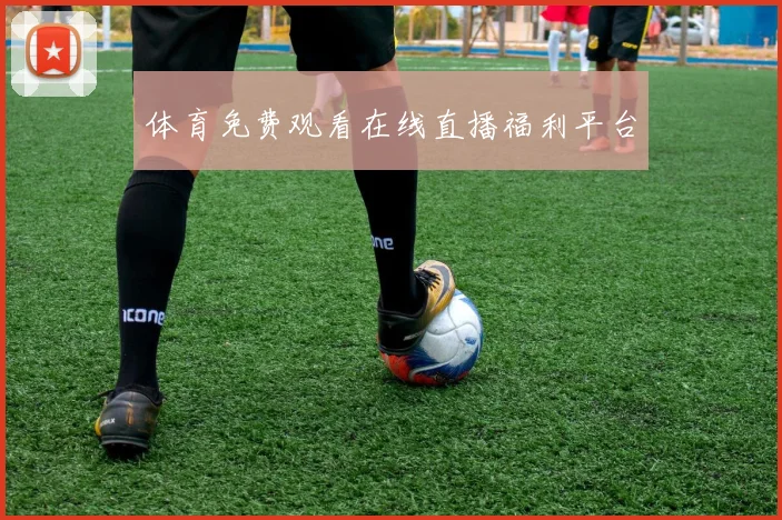 体育免费观看在线直播福利平台