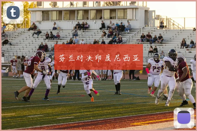 芬兰对决印度尼西亚