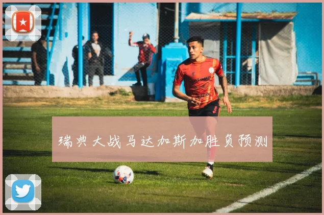 瑞典大战马达加斯加胜负预测