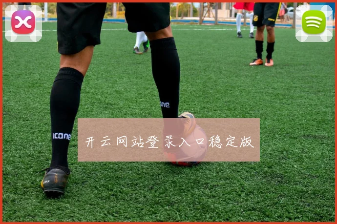 开云网站登录入口稳定版