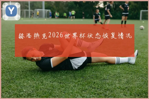 赫洛热克2026世界杯状态恢复情况