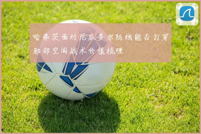 哈弗茨面对厄瓜多尔防线能否打穿肋部空间战术价值梳理