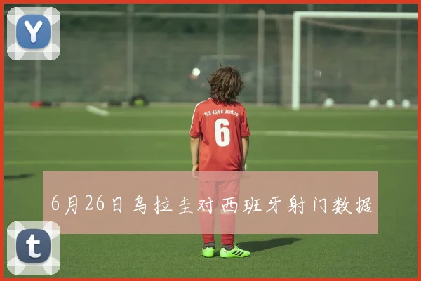 6月26日乌拉圭对西班牙射门数据