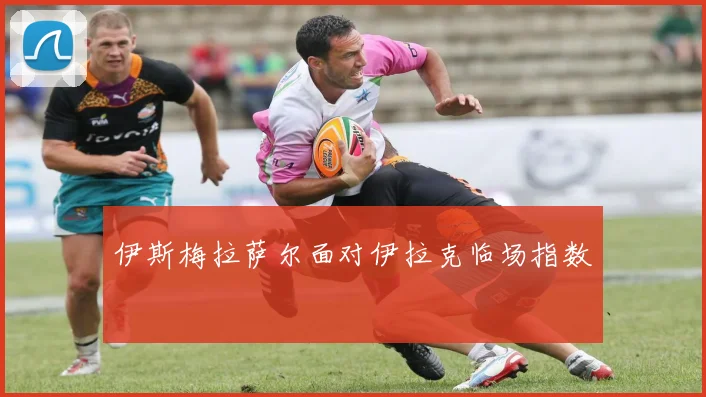 伊斯梅拉萨尔面对伊拉克临场指数