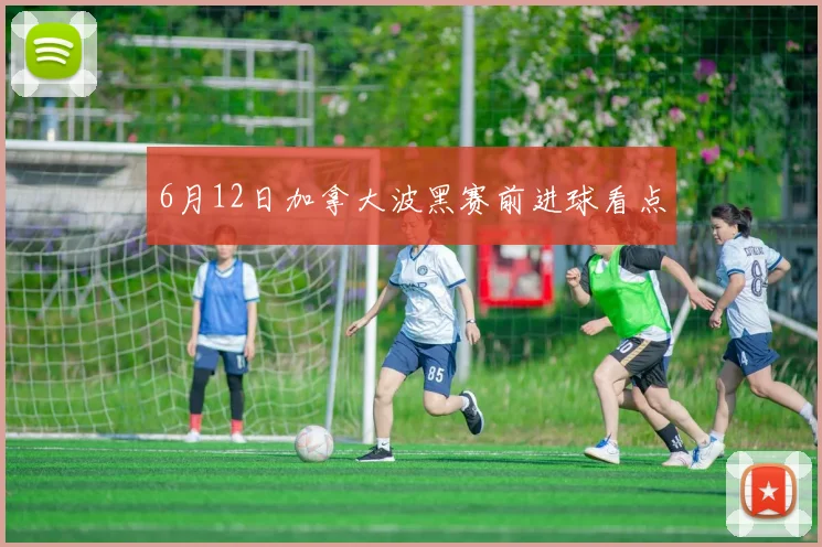 6月12日加拿大波黑赛前进球看点