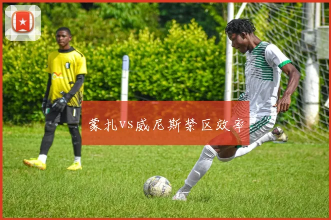 蒙扎vs威尼斯禁区效率