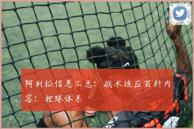 阿利松信息汇总：战术适应百科内容：控球体系
